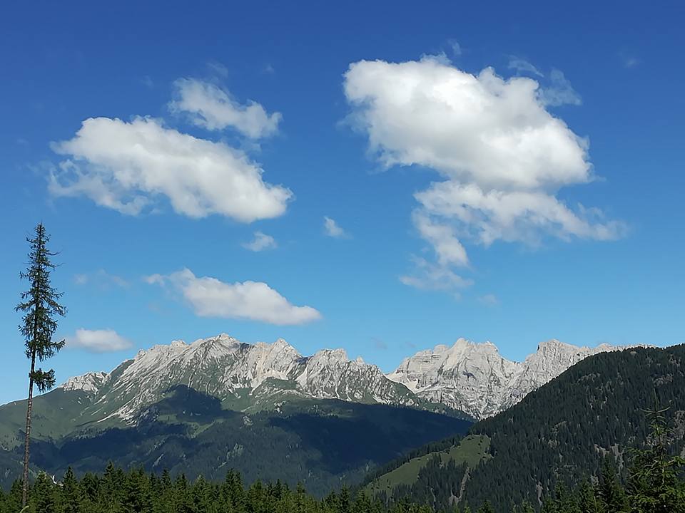 Il Bosco che Suona - Trentino