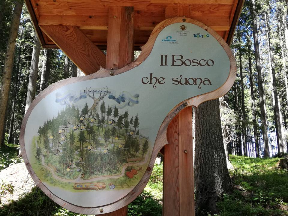 Il Bosco che Suona - Trentino