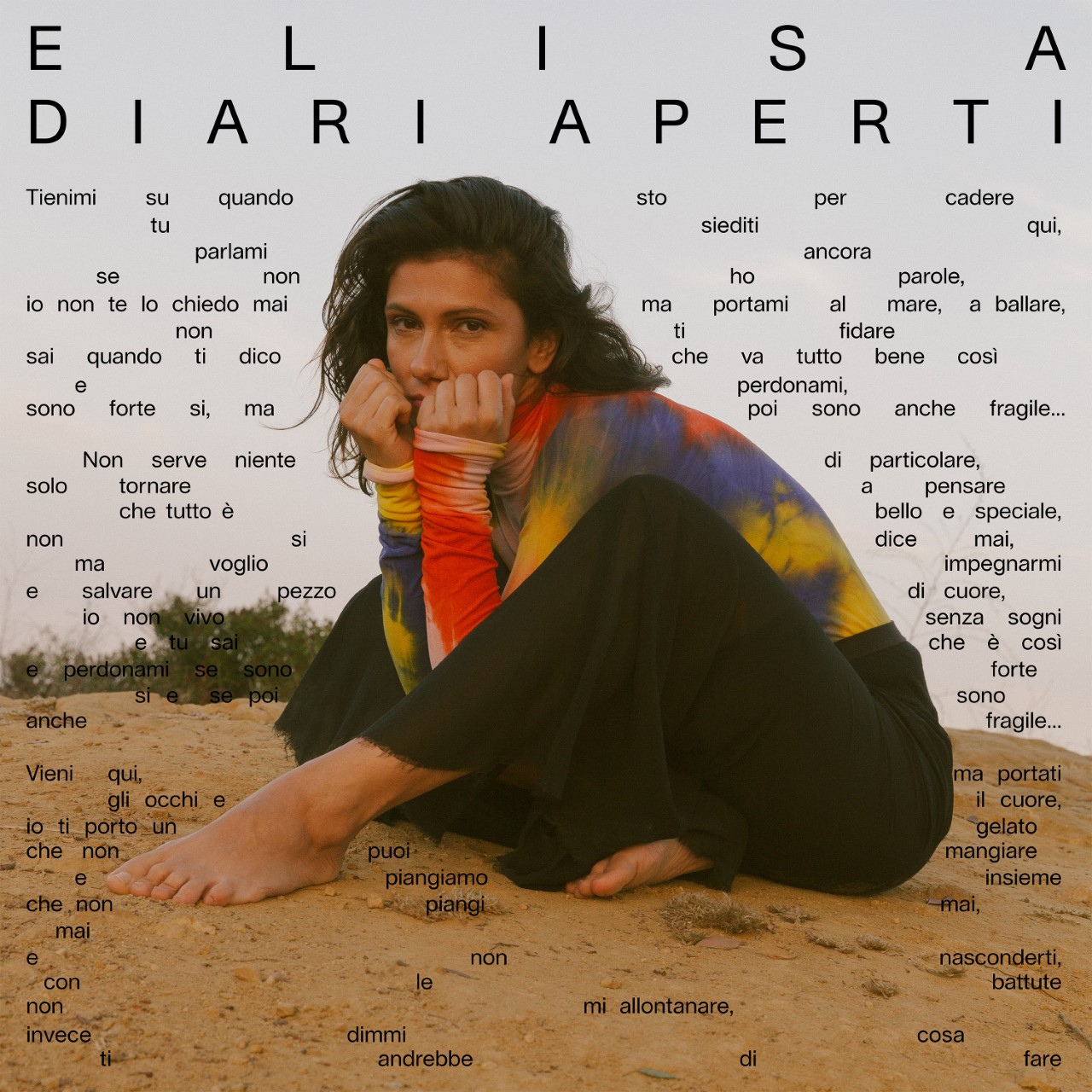 Elisa-DiariAperti